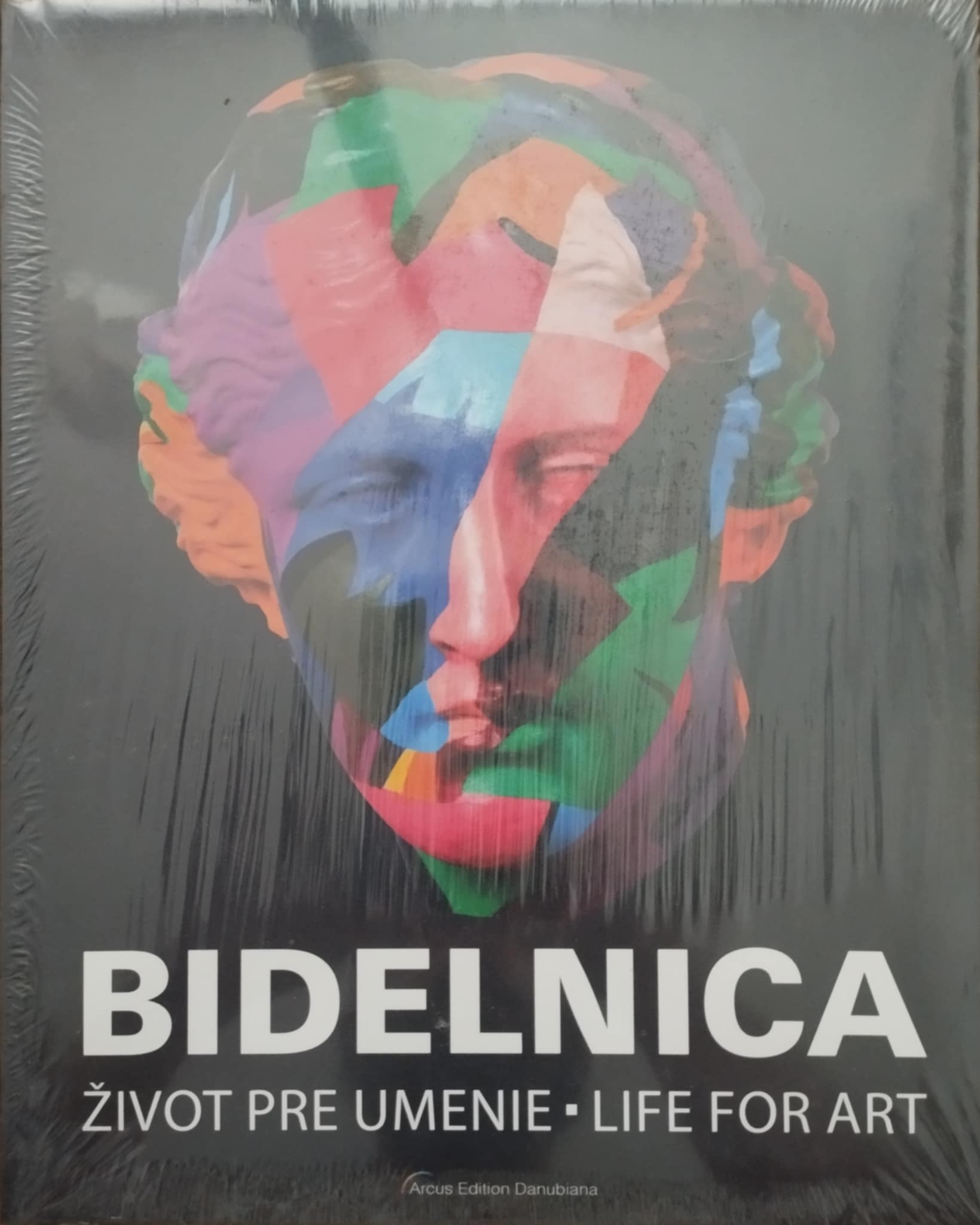 Bidelnica - Život pre umenie / Life for art