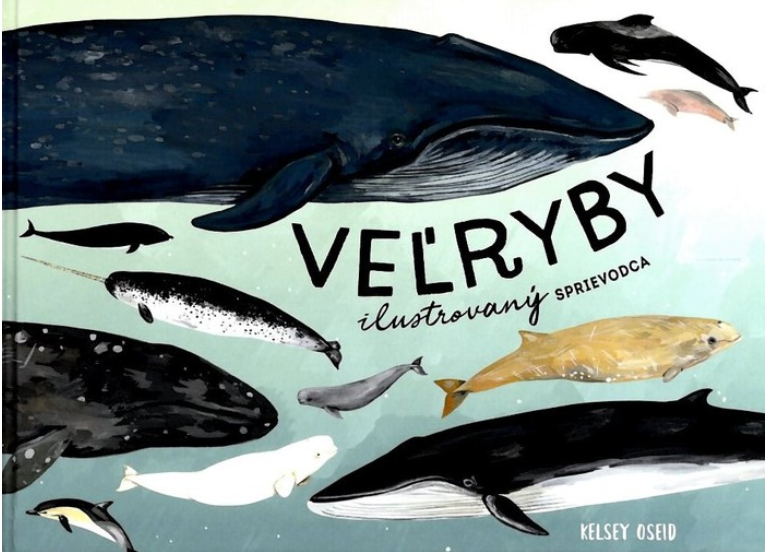 Kelsey Oseid: Veľryby - ilustrovaný sprievodca