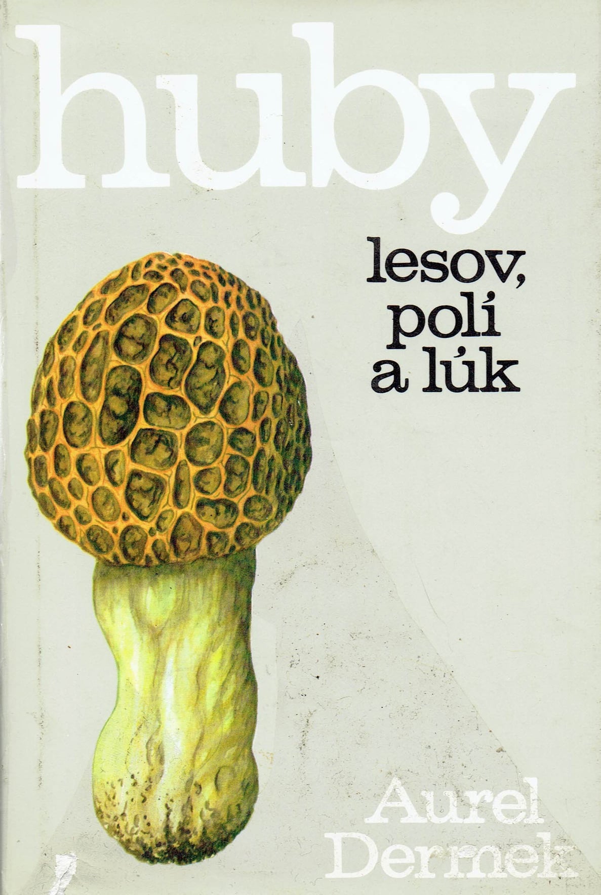 Aurel Dermek: Huby lesov, polí a lúk