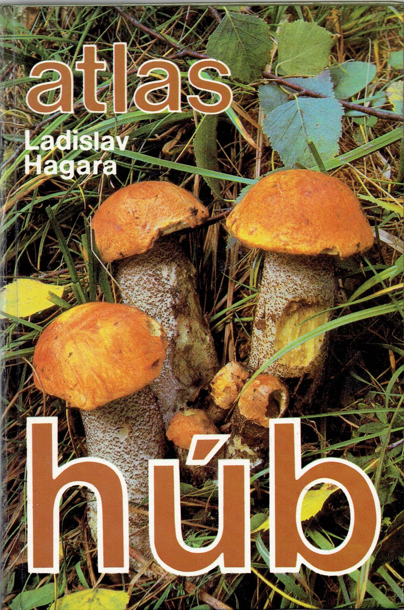 Ladislav Hagara: Atlas húb
